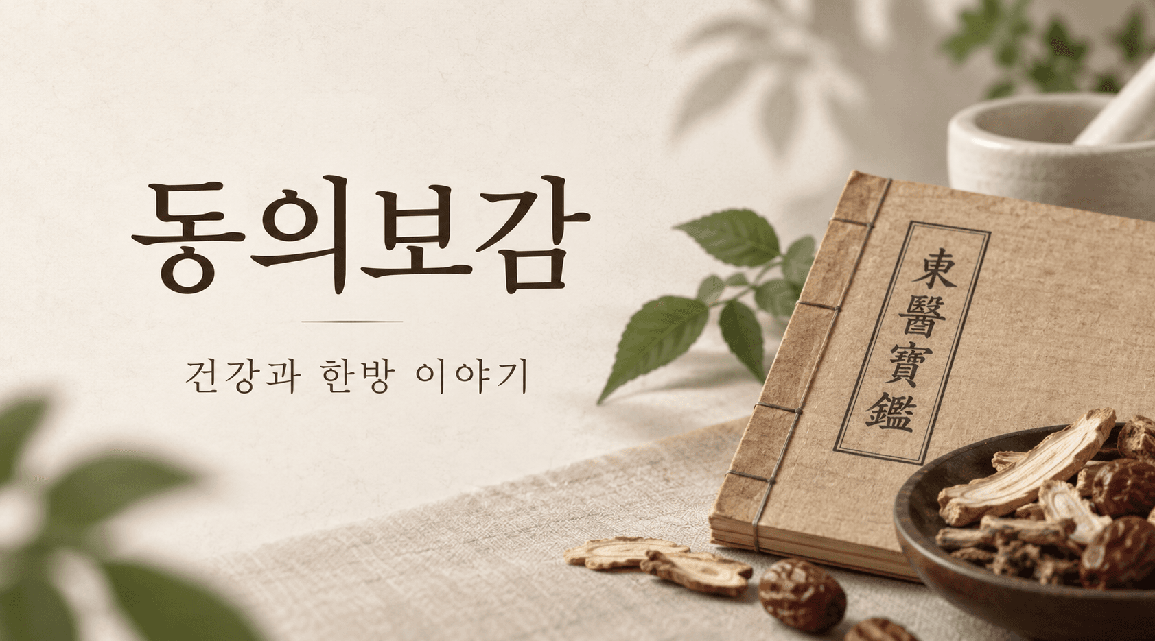 동의보감 건강과 한방 이야기 배너